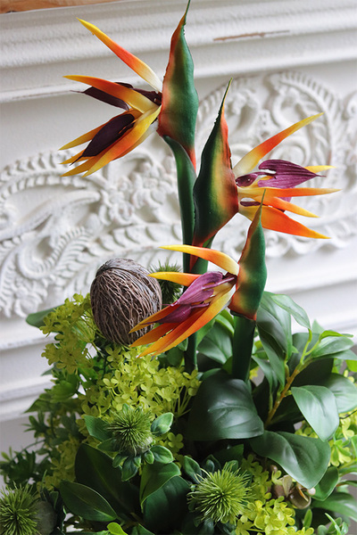 egzotyczna kompozycja w donicy, Strelicja Central Park