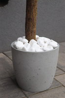 Oliwka Concrete Lite, sztuczne drzewko w betonowej donicy