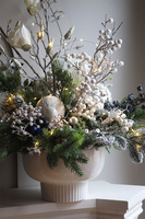 Magnolia Winter Blue, zimowa kompozycja w osłonce