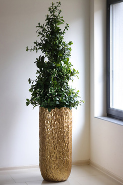 New Green Queen, drzewko sztuczne kolumnowe w donicy, wys.212cm