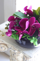 Fuksja Dekoria, kompozycja z orchideą w czarnej misie