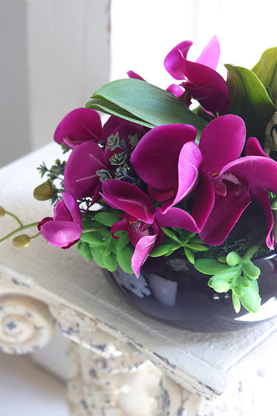 Fuksja Dekoria, kompozycja z orchideą w czarnej misie