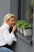 Green Celita A, zielona kompozycja w betonowej donicy