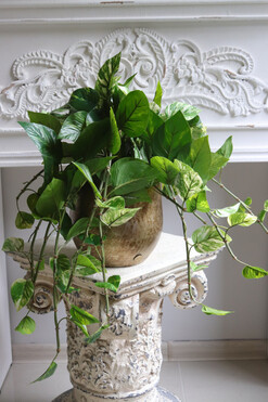 Epipremnum Gold Hillton, kwiat sztuczny w donicy, wys.42/64cm 