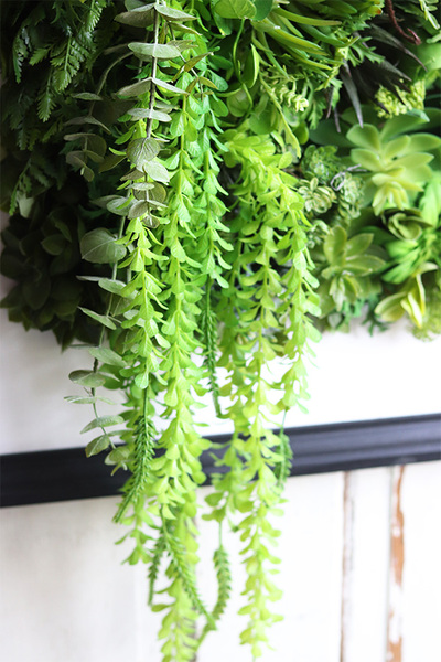 czarna jednostronna rama Lisbon Hotels Sukulenty, wym.77x57cm