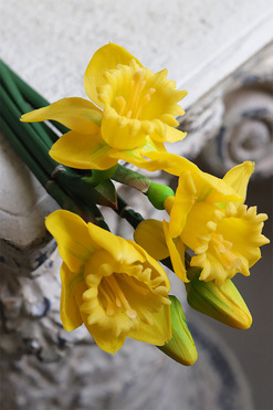 OD RĘKI bukiet silikonowych wiosennych żonkili, 5szt, dł.44cm