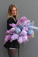 Bzy Deluxe Premium, gumowy bez kwitnący lilak