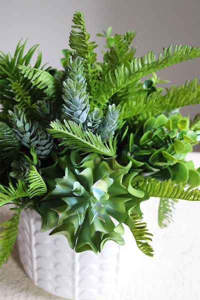 Jerudo E, kompozycja sukulenty w białej donicy, wys.27cm