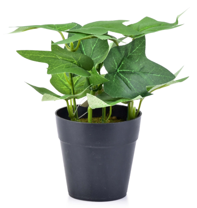 Pierre B, sztuczna roślina w osłonce z tworzywa, wys.15cm