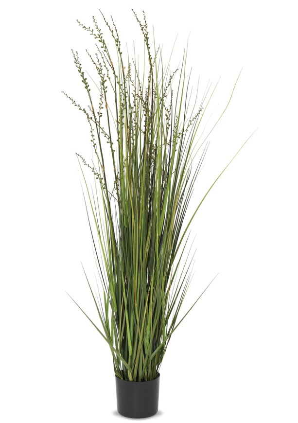 Rinna, sztuczna trawa kwitnąca z pąkami, wys.150cm