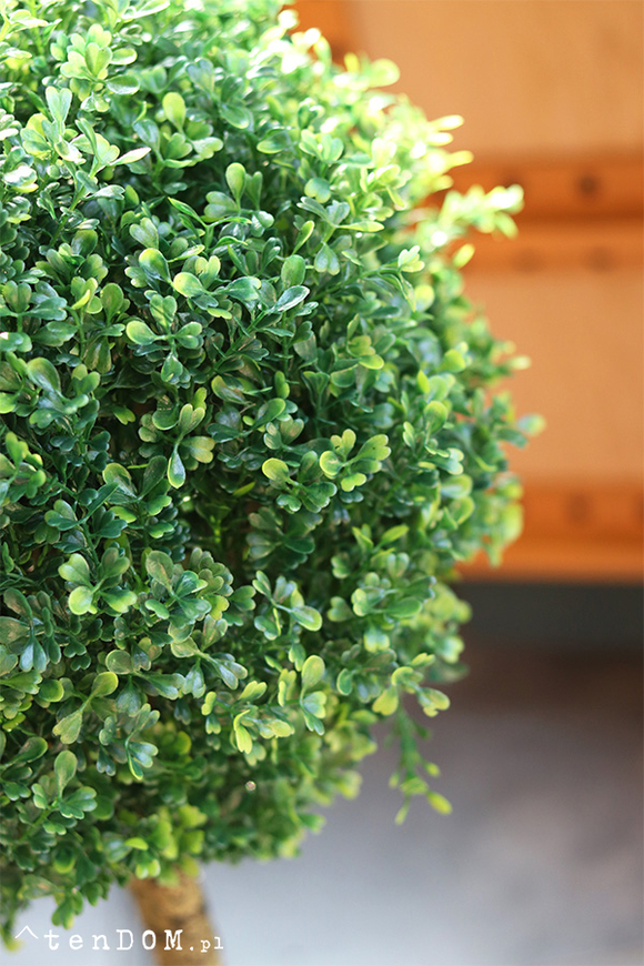 Drzewko Bukszpan, sztuczna roślina w doniczce