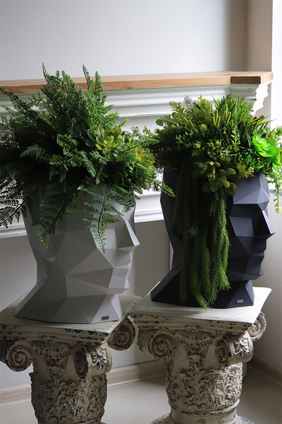 White Adonis Head, nowoczesna dekoracja zielona w głowie