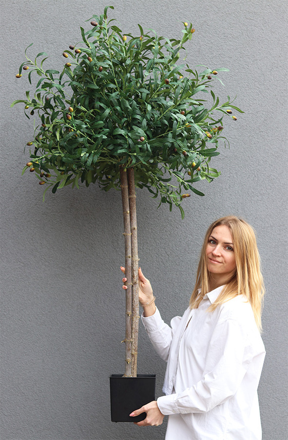 Drzewko Oliwne / Oliwka, sztuczne drzewko w osłonce
