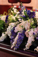 Opera Blue, kompozycja kwiatowa w donicy