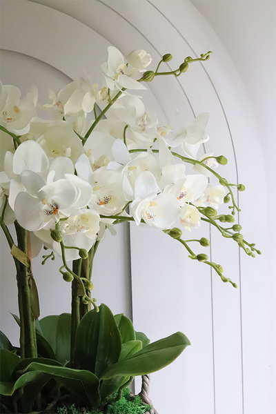 Rattania Provance A, sztuczny storczyk w wiklinowym koszu