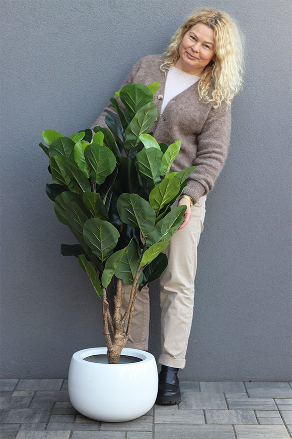 Fikus Dębolistny Walter White, sztuczna roślina w donicy fiberglass