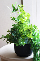 Zielona Poświata, kompozycja sukulenty w lustrzanej donicy