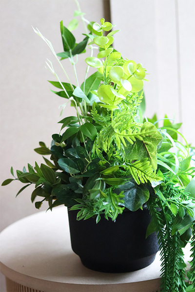 Zielona Poświata, kompozycja sukulenty w lustrzanej donicy