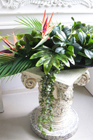 Strelicja Kerania, podłużna kompozycja w donicy