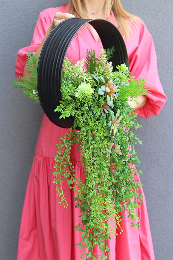 Zieleń Sukulentów B, kompozycja sukulenty w donicy wiszącej