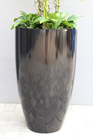 duży storczyk Black Fiberglass Grande w czarnej donicy, wys.145cm