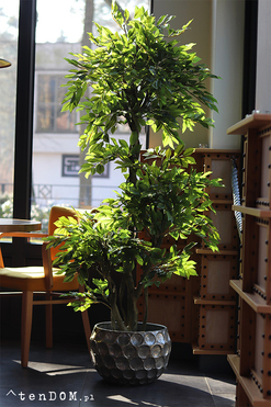 Fikus Benjamin F Silver, sztuczna roślina w metalowej donicy, wys.180cm