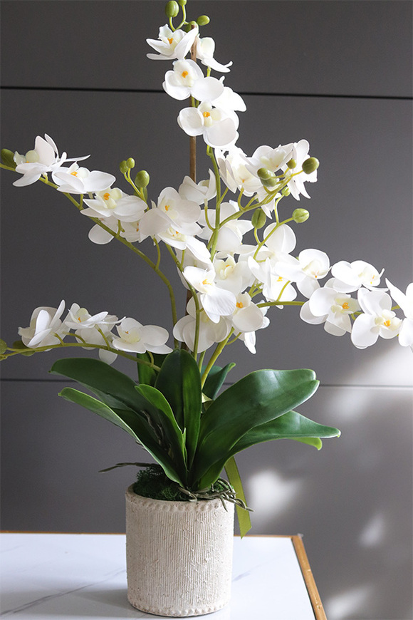 Kulena Tall 2, gumowy storczyk w etno donicy