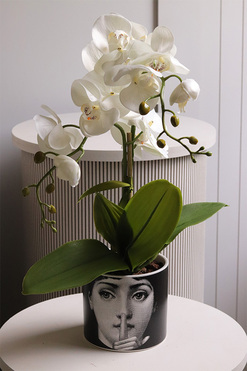 Fornasetta Silent, sztuczny storczyk w ozdobnej donicy, wys.50cm 