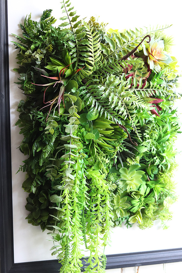 czarna jednostronna rama Lisbon Hotels Sukulenty, wym.77x57cm