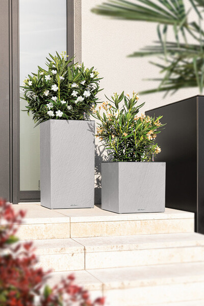 Canto Slatestone kostka elegancka donica z nawadnianiem