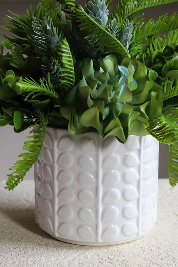 Jerudo E, kompozycja sukulenty w białej donicy, wys.27cm