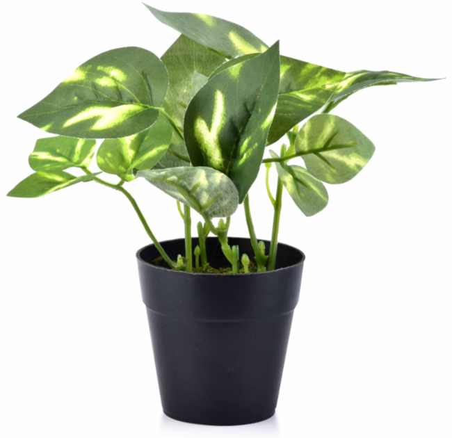 Pierre B, sztuczna roślina w osłonce z tworzywa, wys.16cm