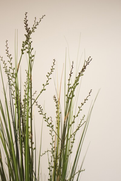 Rinna, sztuczna trawa kwitnąca z pąkami, wys.150cm