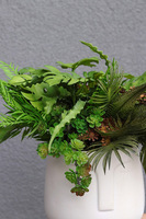 Green Face, efektowna kompozycja sukulenty w głowie