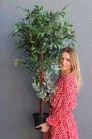 Fikus Benjamin M, sztuczna roślina w doniczce