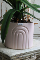 Sweet Pink Moment, storczyk cymbydium w różowej doniczce