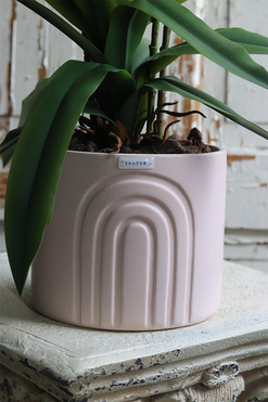 Sweet Pink Moment, storczyk cymbydium w różowej doniczce, wys.63cm