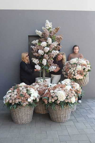 Hortensja Cashmere , sztuczne drzewko hortensja w donicy