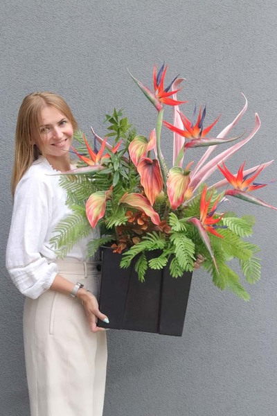 Strelicja Amazonica Saute, egzotyczna kompozycja do donicy klienta