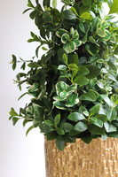 New Green Queen, drzewko sztuczne kolumnowe w donicy