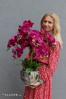 Iwona, fioletowy storczyk w lustrzanej donicy