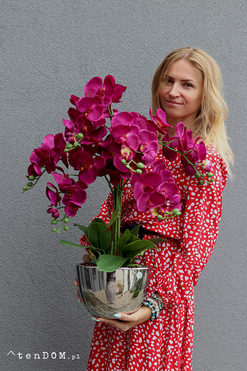 Iwona Cinderella, fioletowy storczyk w lustrzanej donicy, wys.70cm