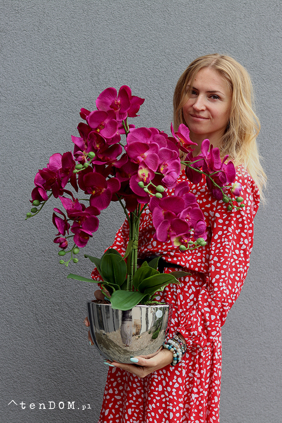 Iwona, fioletowy storczyk w lustrzanej donicy