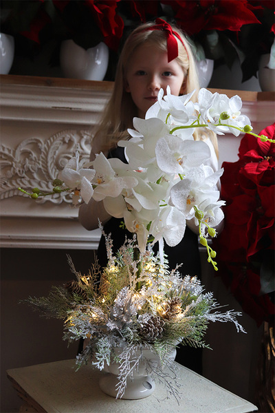 Frozen Orchid, elegancki storczyk zimowy w pucharze