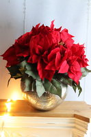 Gwiazda Betlejemska Deluxe, wysokiej jakości sztuczna roślina