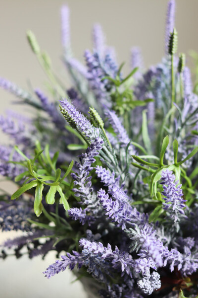 Lavender Home, kompozycja lawendą w koszu