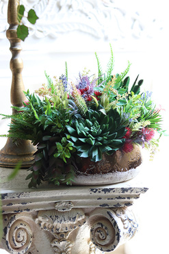 Green Helita Violet, kompozycja sukulenty w miedzianej misie, wys.31cm