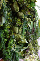 Green Hotels Eureka, czarna jednostronna rama sukulenty