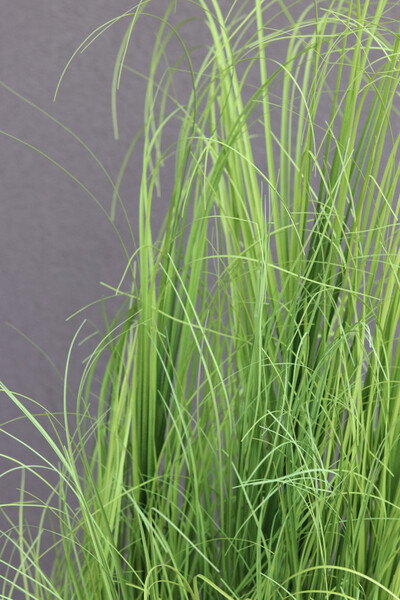 Fiberglass Marco Hazel, sztuczne trawy w białej donicy