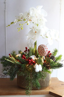 Lollypop Candy, elegancki storczyk zimowy LED